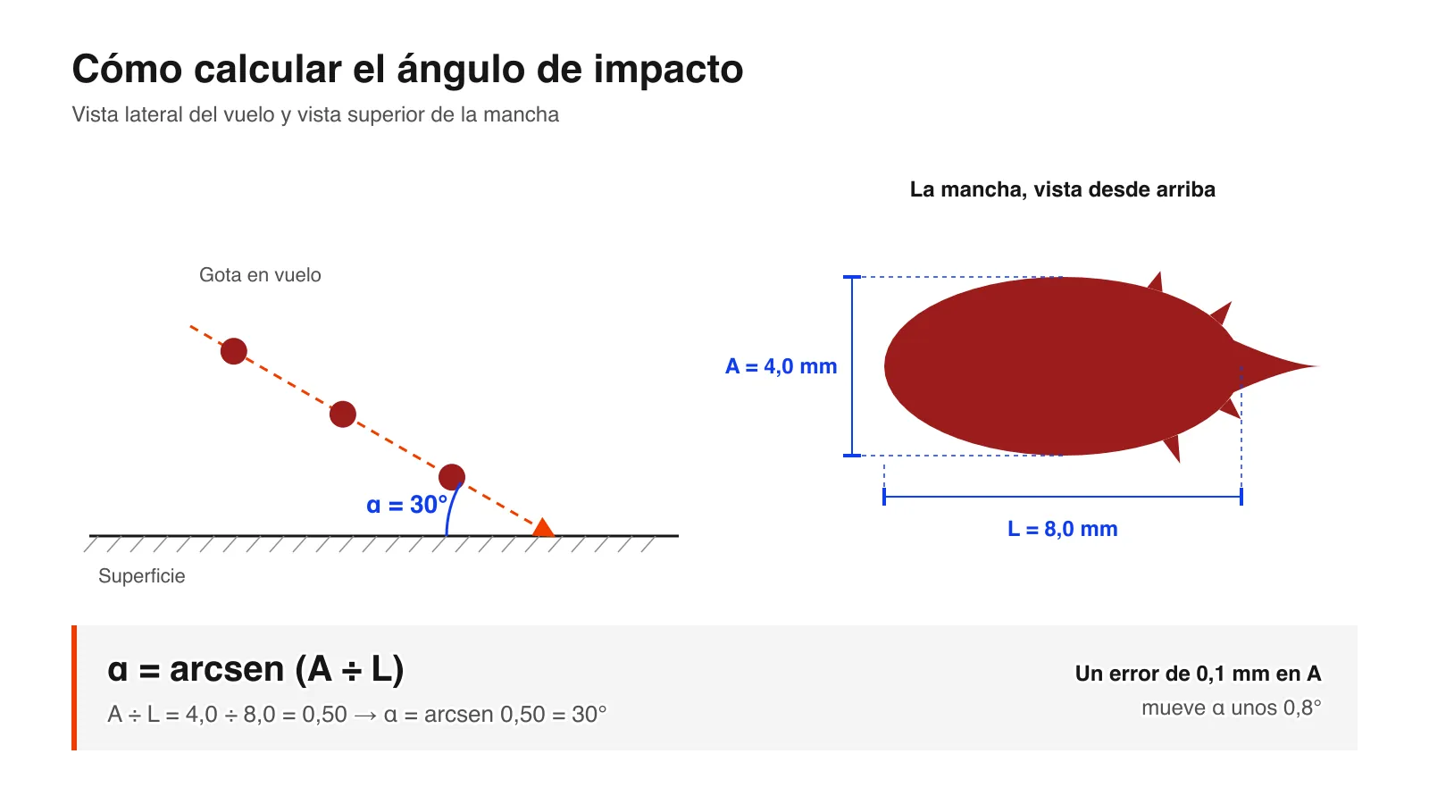 Esquema del ángulo de impacto: una gota de sangre golpea una superficie a 30° y deja una mancha de 4,0 mm de ancho y 8,0 mm de largo, por lo que α = arcsen(A ÷ L) = 30°