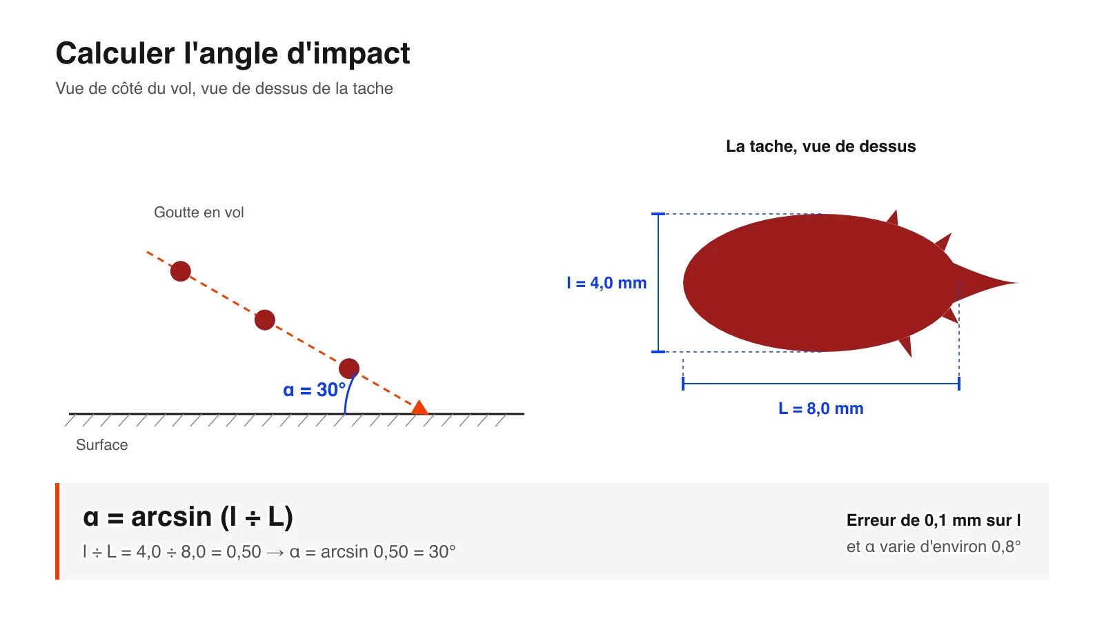 Schéma de l'angle d'impact : une goutte de sang frappe une surface à 30° et laisse une tache de 4,0 mm de large et 8,0 mm de long, donc α = arcsin(l ÷ L) = 30°
