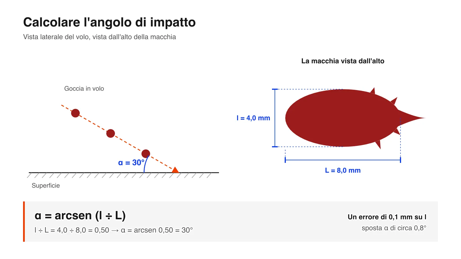 Schema dell'angolo di impatto: una goccia di sangue colpisce una superficie a 30° e lascia una macchia larga 4,0 mm e lunga 8,0 mm, quindi α = arcsen(l ÷ L) = 30°