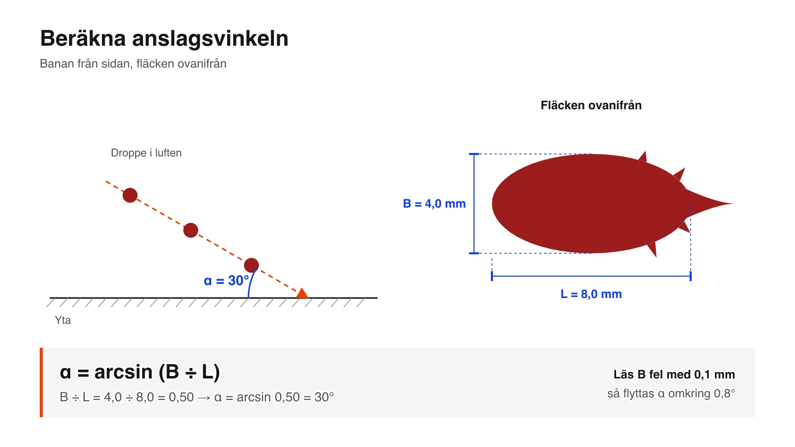 Schema över anslagsvinkeln: en bloddroppe träffar en yta i 30° och lämnar en fläck som är 4,0 mm bred och 8,0 mm lång, alltså α = arcsin(B ÷ L) = 30°