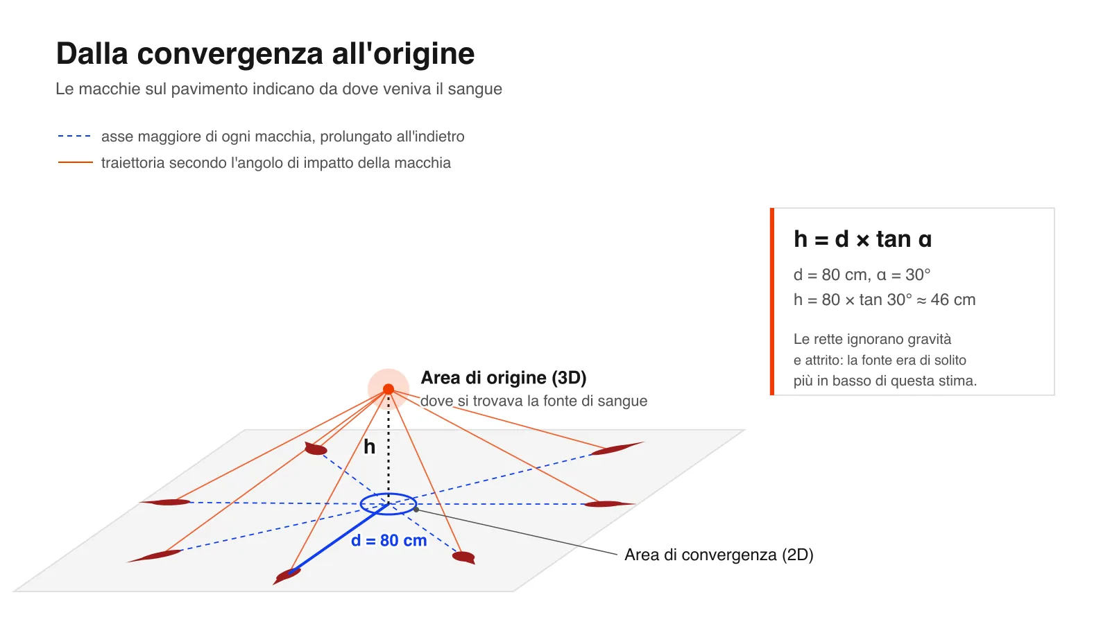 Schema dell'area di convergenza e dell'area di origine: gli assi maggiori delle macchie sul pavimento si incontrano in un punto, e l'altezza della fonte è h = d × tan α