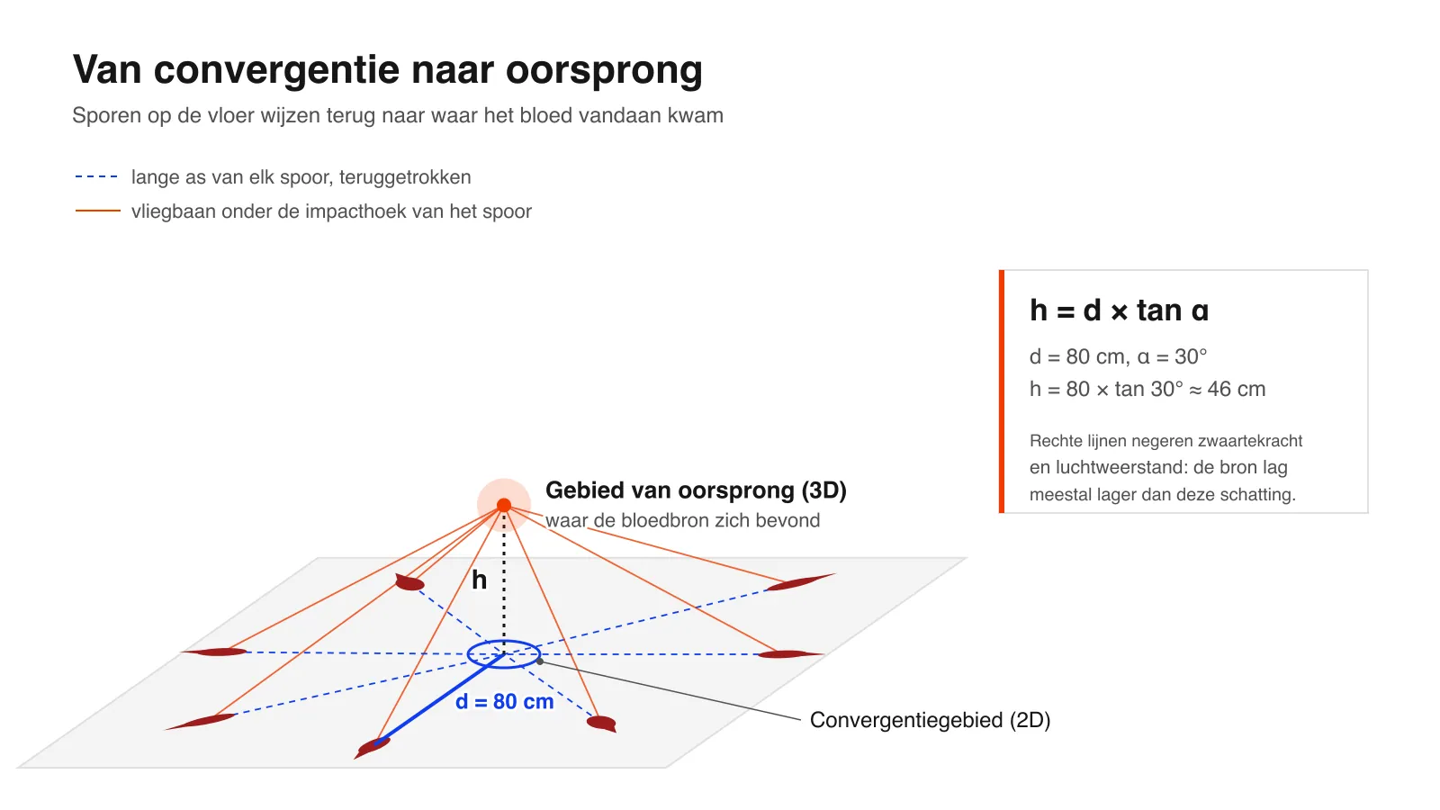 Schema van convergentiegebied en gebied van oorsprong: de lange assen van sporen op de vloer komen samen in één punt, en de hoogte van de bron is h = d × tan α
