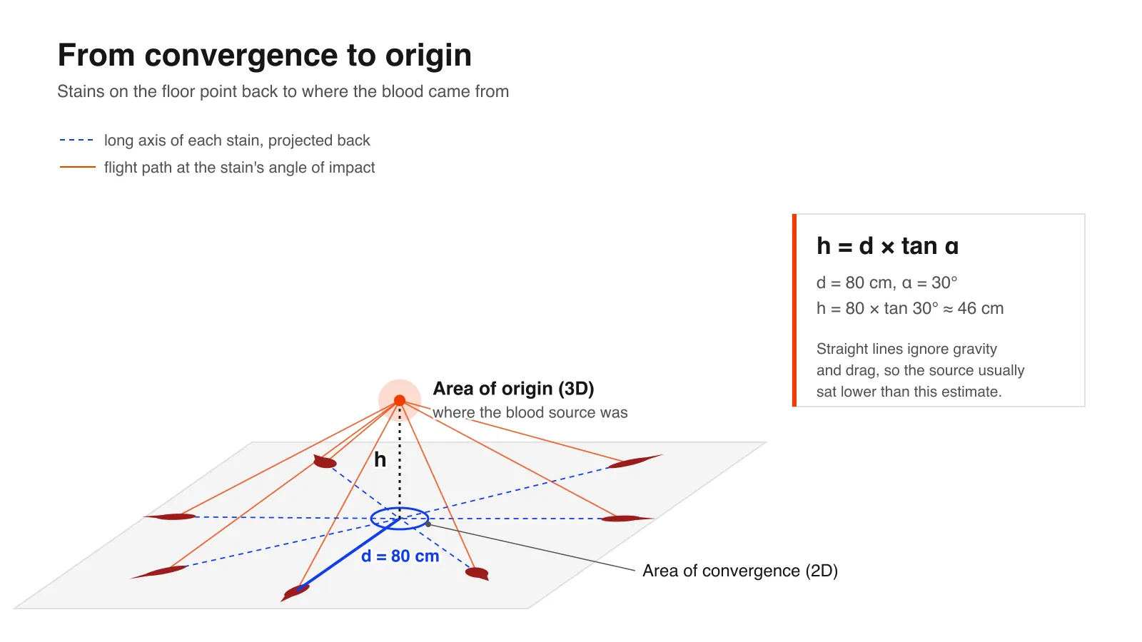 Diagram of the area of convergence and area of origin: the long axes of floor stains meet at one point, and the source height is h = d × tan α